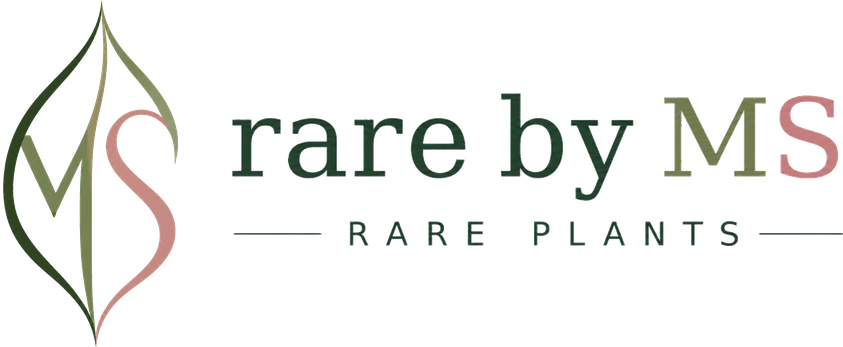 rare by MS — Rare Plants